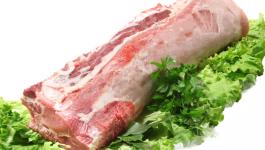 Lonza